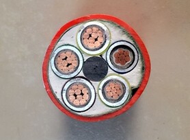 陶瓷化硅橡胶复合带在BTLY防火耐火电缆上的应用